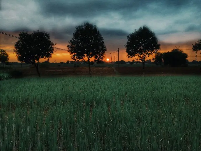 Evening snap evening clicked by Harsh Rohilla